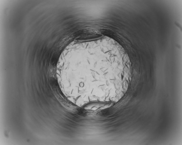 X0000100330096200806261313