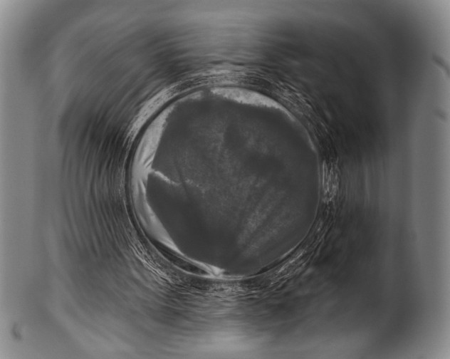 X0000100330099200806261312