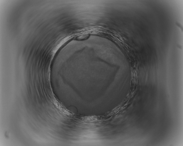 X0000100330100200806261312