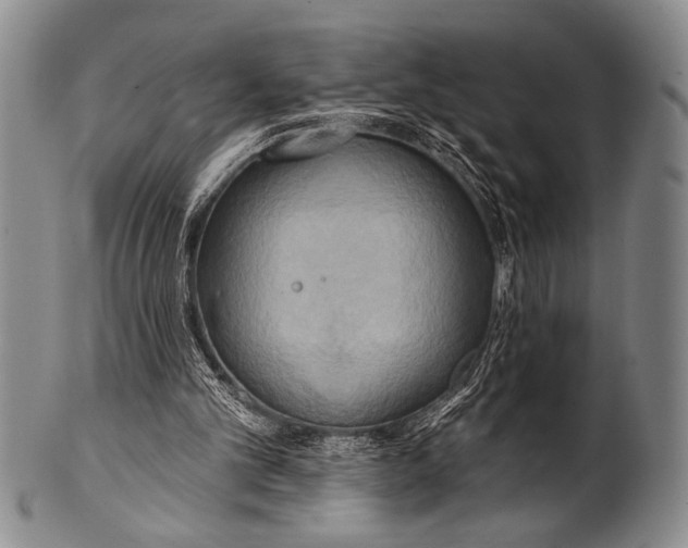 X0000100330101200806261312