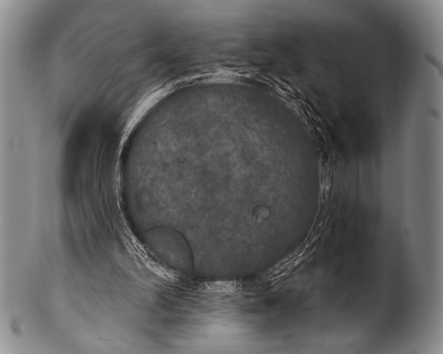 X0000100330102200806261312