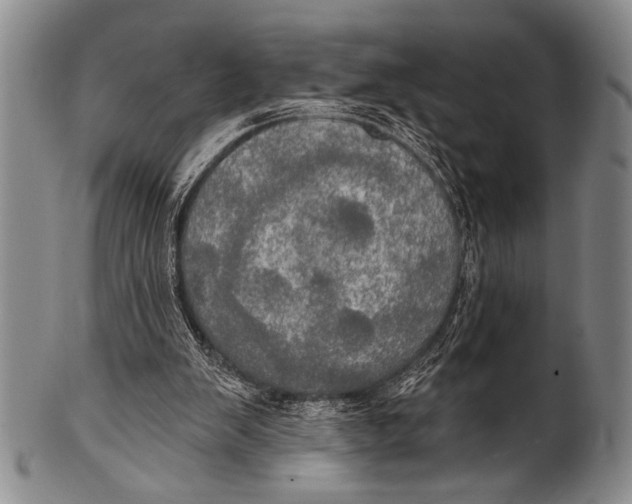 X0000100330103200806261312