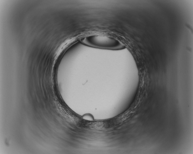 X0000100330104200806261312