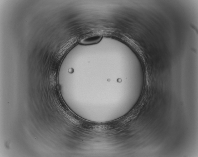 X0000100330105200806261312