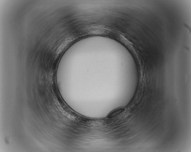 X0000100330106200806261312