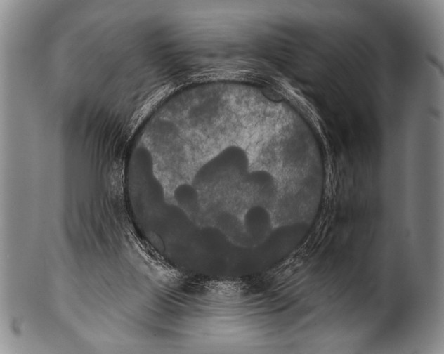 X0000100330107200806261312