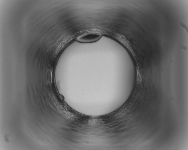 X0000100330109200806261312