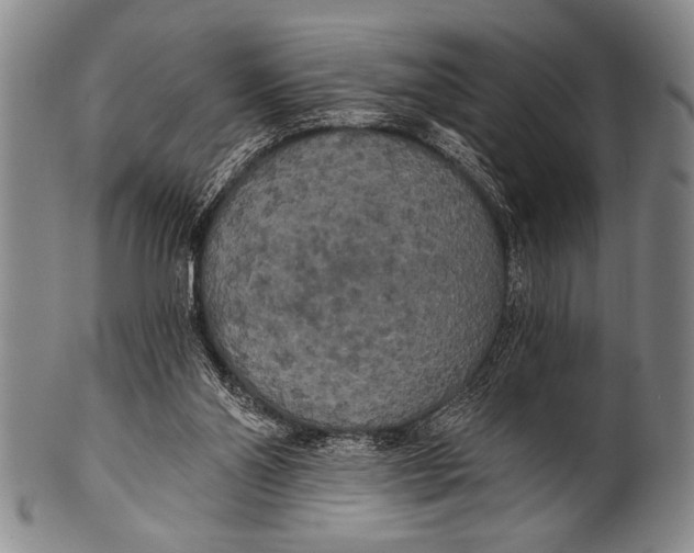 X0000100330110200806261312