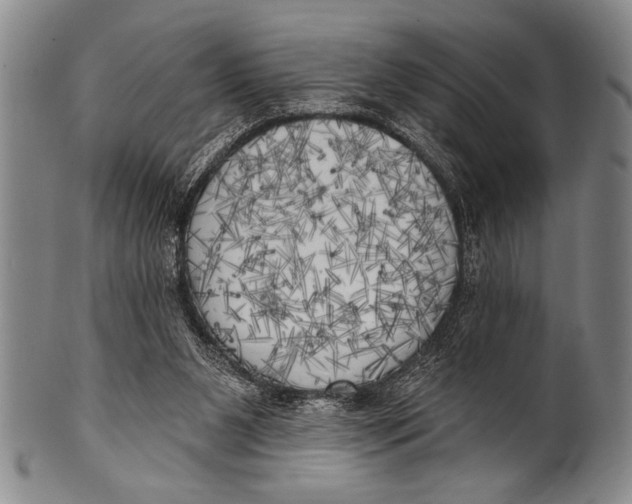 X0000100330111200806261312