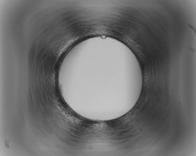 X0000100330112200806261312