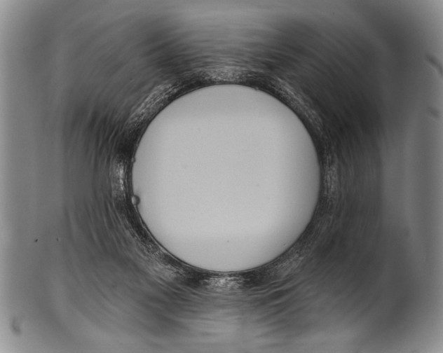 X0000100330117200806261311