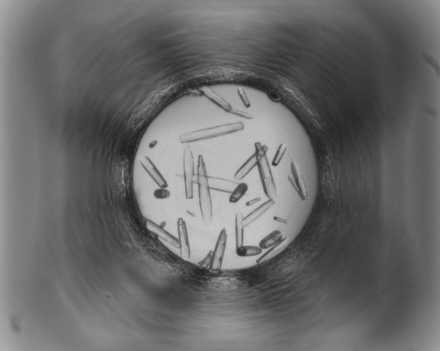 X0000100330119200806261311