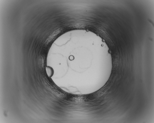 X0000100330120200806261311