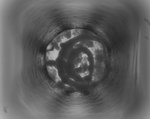 X0000100330123200806261311