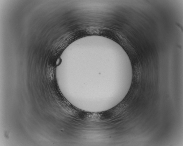 X0000100330125200806261311