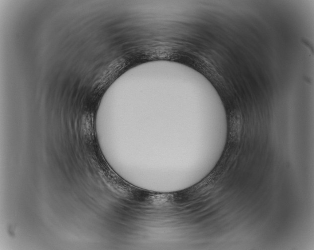 X0000100330126200806261311