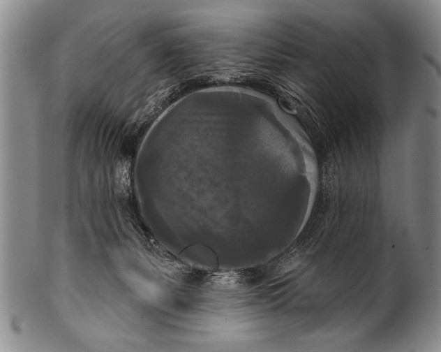 X0000100330127200806261311