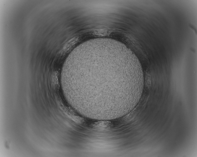 X0000100330128200806261311