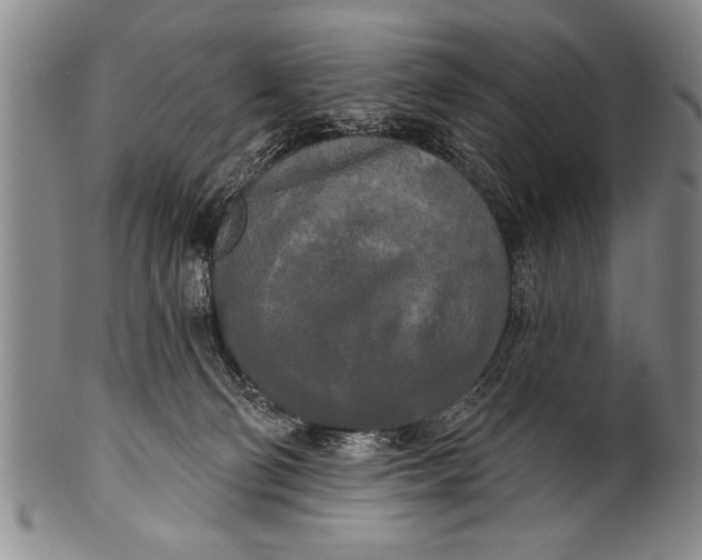 X0000100330130200806261311