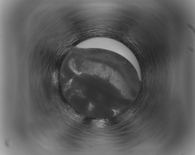 X0000100330131200806261311