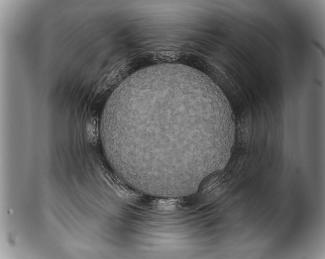 X0000100330134200806261311