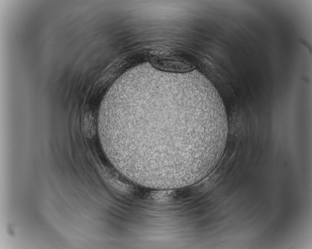 X0000100330136200806261311