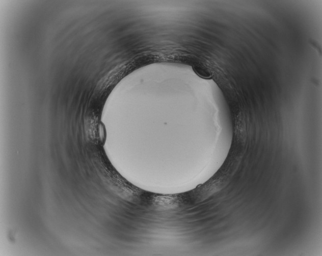 X0000100330139200806261311