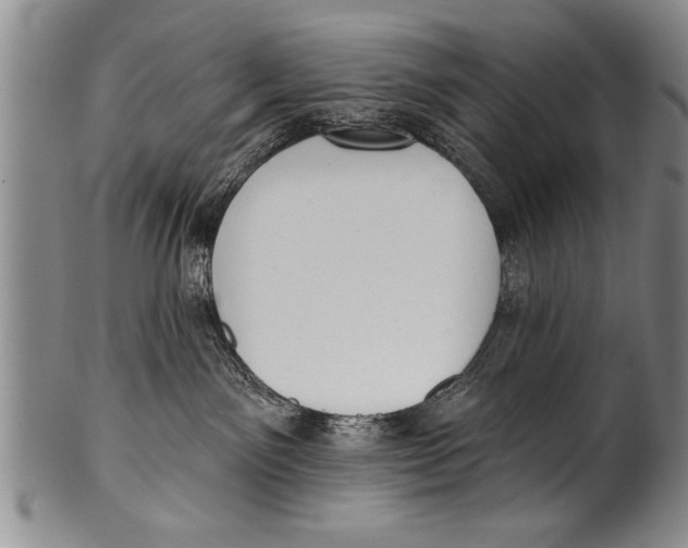 X0000100330141200806261311