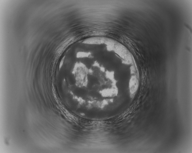 X0000100330145200806261310