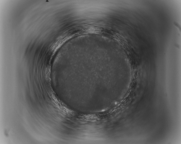 X0000100330146200806261310