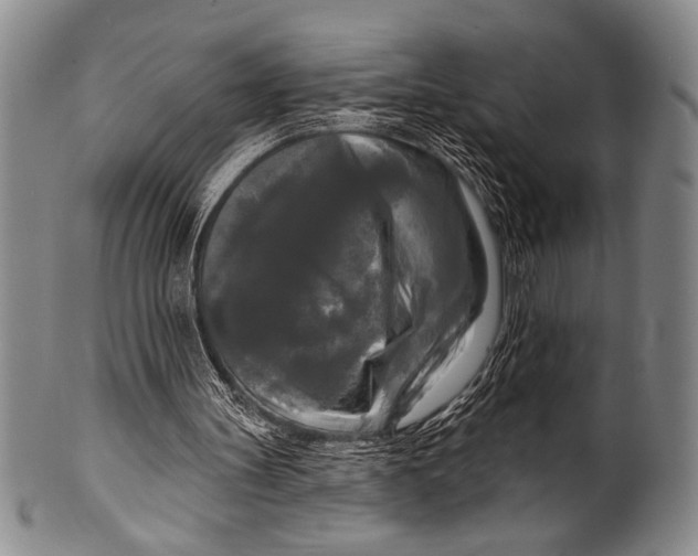 X0000100330147200806261310