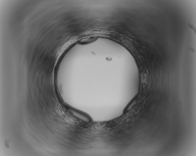 X0000100330148200806261310