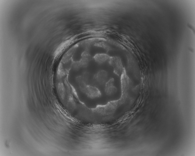 X0000100330149200806261310