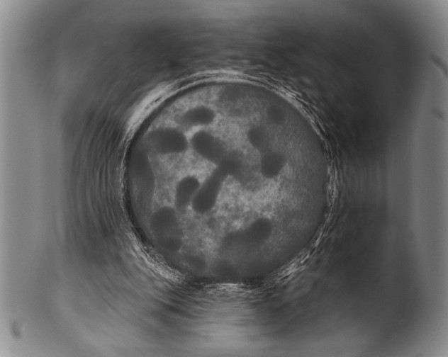 X0000100330151200806261310