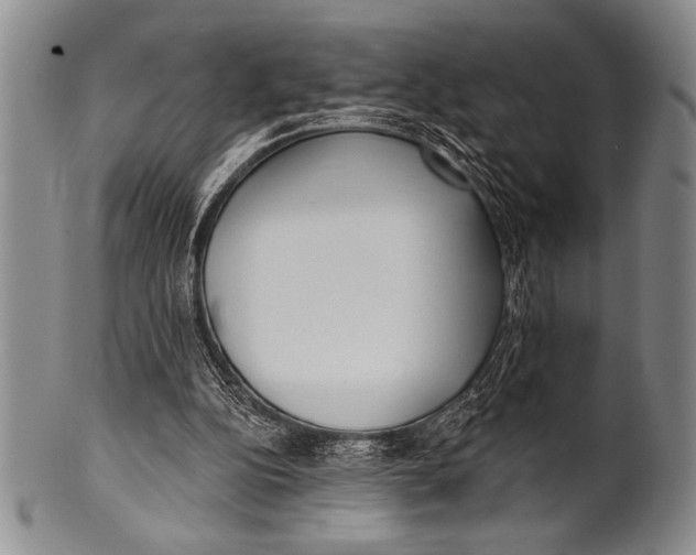 X0000100330152200806261310