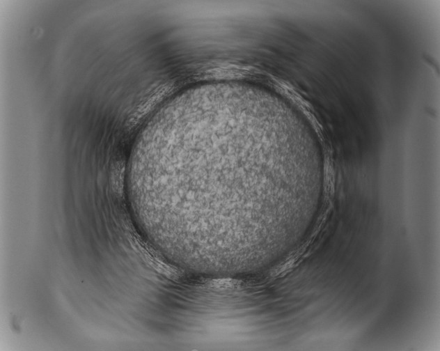 X0000100330153200806261310