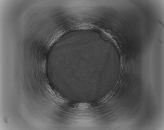 X0000100330154200806261310