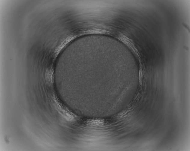 X0000100330156200806261310