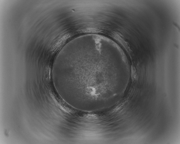 X0000100330157200806261310