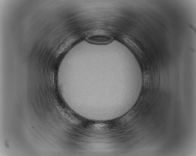 X0000100330158200806261310