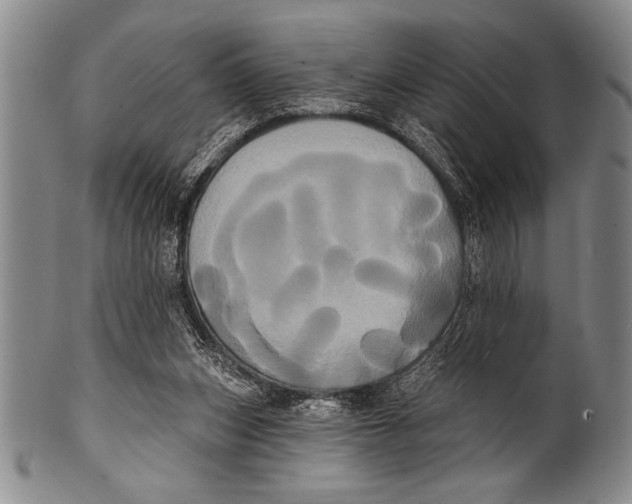 X0000100330159200806261310