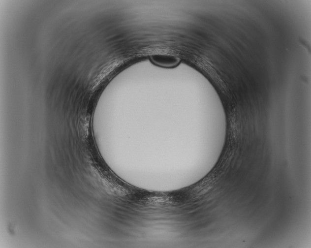 X0000100330160200806261310