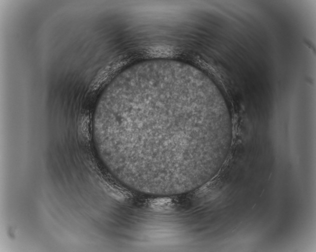 X0000100330162200806261310