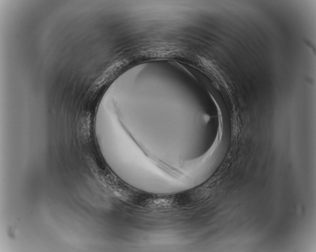 X0000100330163200806261310