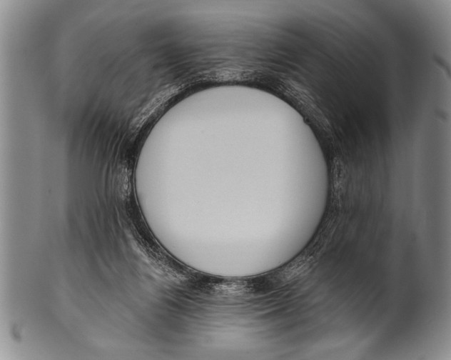 X0000100330164200806261310