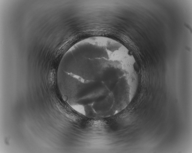 X0000100330165200806261310