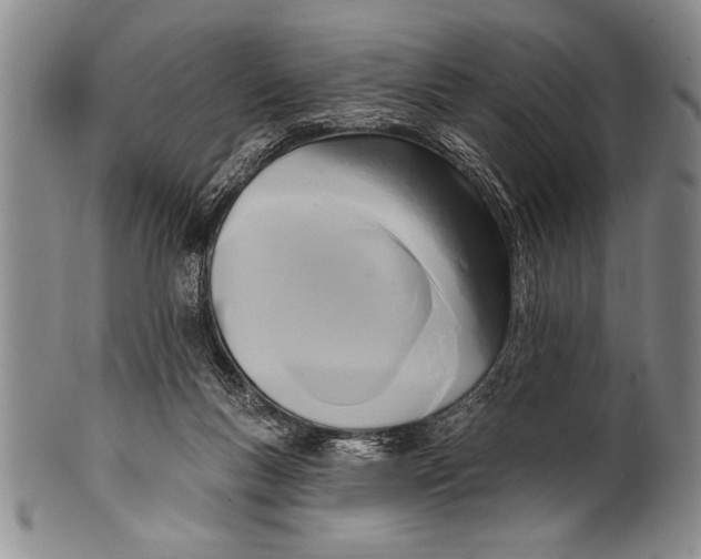 X0000100330167200806261310