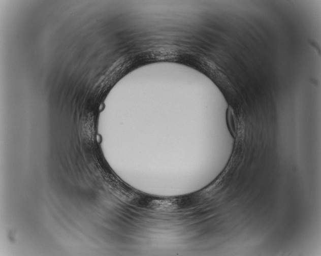 X0000100330170200806261310