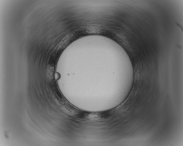 X0000100330171200806261310