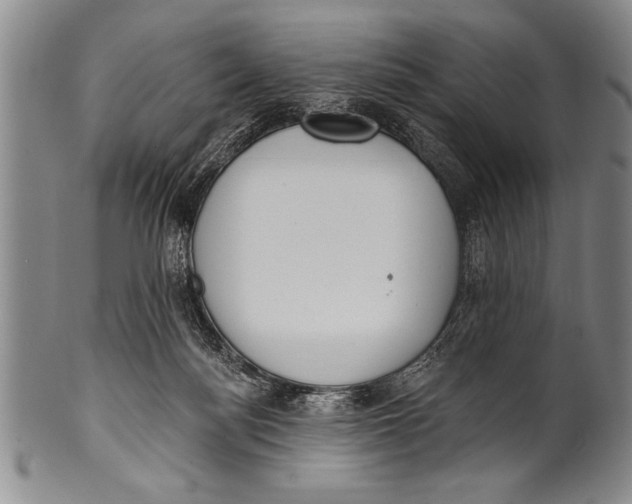 X0000100330172200806261311